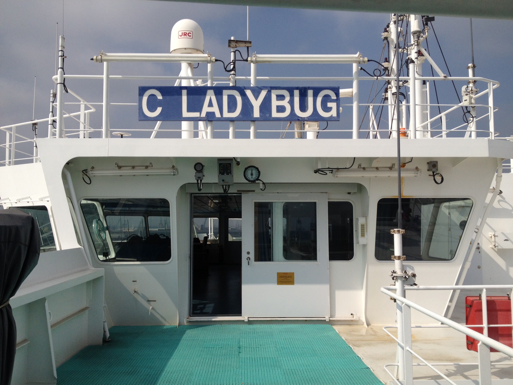 c-ladybug